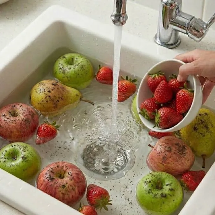 PuriBreeze Produce Cleaner uses step -1