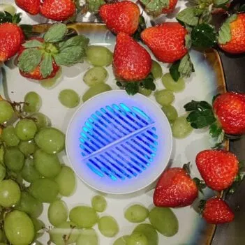 PuriBreeze Produce Cleaner uses step -2